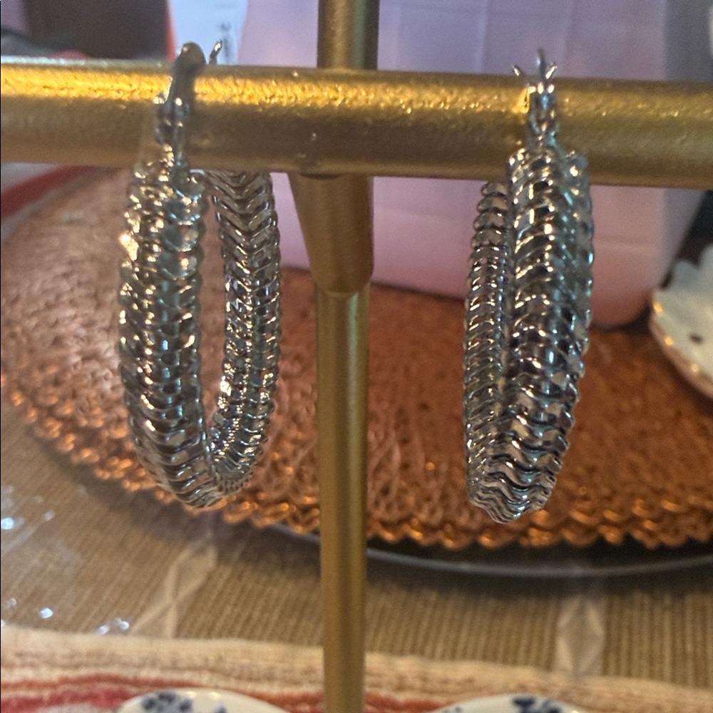 Elegant Silver Hoop Earrings